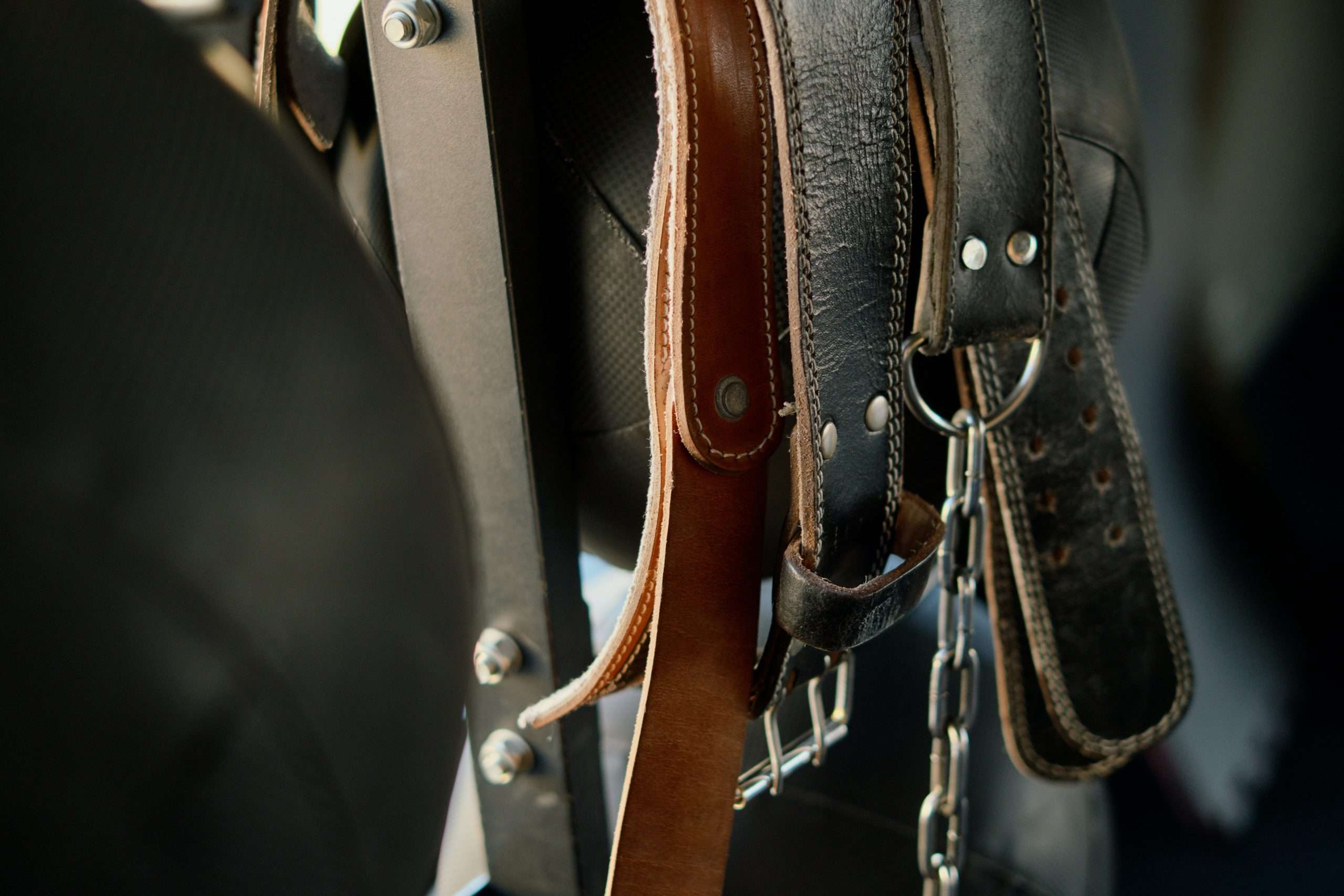 The Great Debate: Faux Leather vs Real Leather, Which One is More